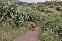 Wanderung auf Lipari