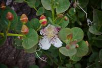 Wanderung auf Lipari