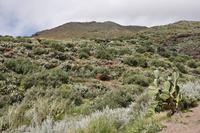 Wanderung auf Lipari