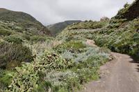 Wanderung auf Lipari