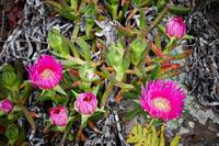 Wanderung auf Lipari