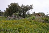 Wanderung auf Lipari