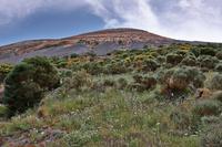 Wanderung auf Vulcano