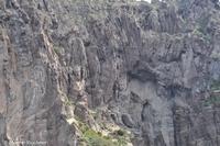 Caldera di Panarea