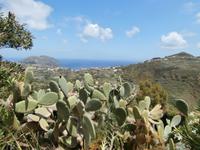 Lipari