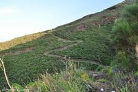 Panoramaweg Stromboli