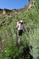 Wandern auf Lipari, UNESCO Weltnaturerbe, Äolische Inseln