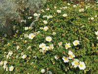 Wanderung Lipari