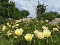 Wanderung Lipari