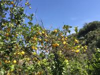 Wanderung Lipari