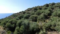 Wanderung auf Lipari