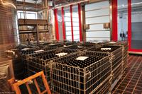 Weingut Tenuta di Castellaro, Lipari, Äolische Inseln