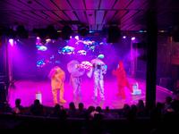 Die Fähre nach Helsinki, Animation