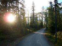 Naturidylle in Luosto