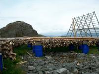 Trockenfisch, Fotostopp