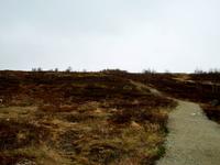 Dovrefjell, Fotostopp