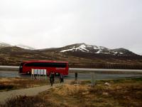 Unser Reisebus auf dem Dovrefjell, Fotostopp