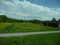 Fahrt zum Polarkreis