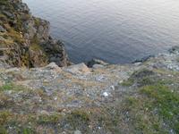 Steilküste am Nordkap