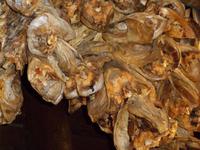 leckere Stockfischköpfe