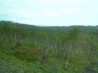 Fahrt durch das Landesinnere 