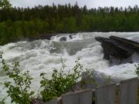 Målselvfossen