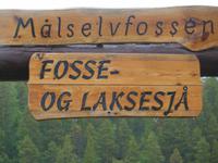 Målselvfossen - Wasserfall und Lachstreppe 