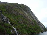 Adler im Trollfjord?