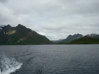 Seeadler, wo seid ihr?