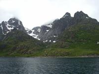 Wir geben die Hoffung auf Seeadler nicht auf :-)