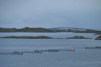 Verbindung der Insel durch Brücken 