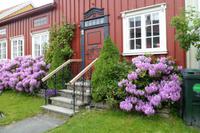 Spaziergang durch Bakklandet