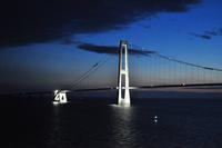Stena Germanica auf dem Weg von Kiel nach Göteborg - Querung Großer Belt Brücke