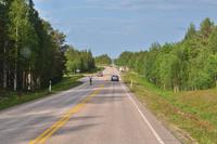 Erste Rentiere in Lappland