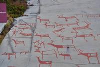 UNESCO Weltkulturerbe Alta Museum