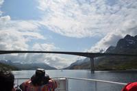 Seeadlersafari im Raftsund
