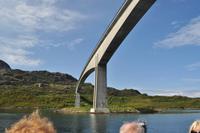 Seeadlersafari im Raftsund