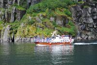 Seeadlersafari im Raftsund - Trollfjord