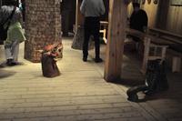 Lofotr, Wikingermuseum