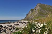 Vikten, Lofoten