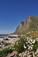 Vikten, Lofoten