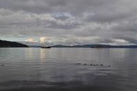 Trondheimfjord - MS Lofoten - Hurtigruten