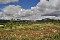 Dovrefjell
