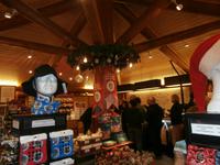 Rovaniemi-Polarkreis und Weihnachtsmannbesuch