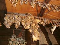 Russens Silberschmiede-Stockfisch