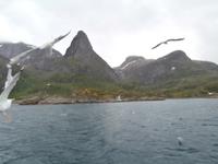 Seeadlersafari Norwegen