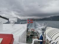 Seeadlersafari Norwegen