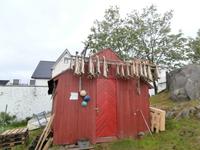 Henningsvaer Lofoten