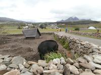 Wikingermuseum Borg Lofoten