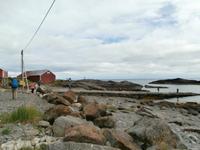 Lofotenrundfahrt-Nesland